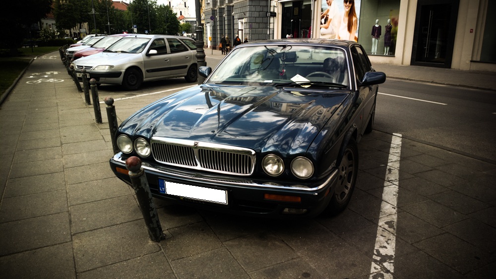 Jaguar automobilis