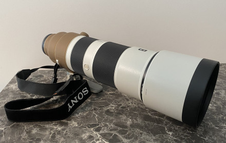 Sony 200-600mm f5.6-6.3